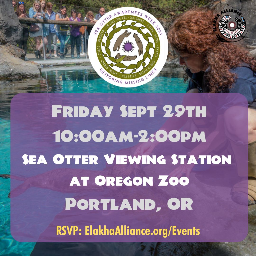 ElakhaA's tweet photo. Find @ElakhaA at the @OregonZoo next to the sea otters on Fri 29th & Sat 30th for #SeaOtterAwarenessWeek 🦦🦀🌊! Maybe Juno will come out and do a clam dunk 🏀🗑️!
#SOAW #seaotters #seaotter #oregonzoo #oregon #portland #restoringmissinglinks https://t.co/PmFd7JdNtN
