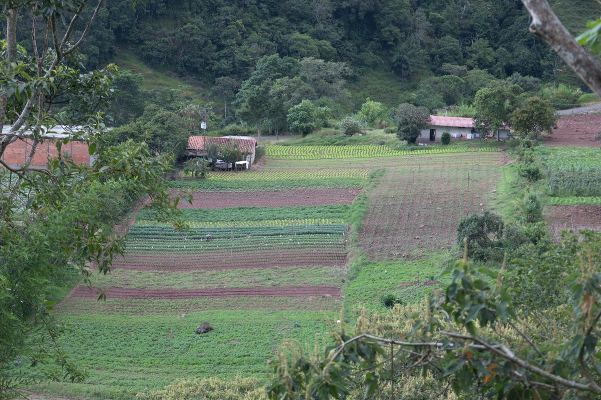 RenyTraceur's tweet photo. Paisajes en la via al paramo tachirense.

#tachira #venezuela #paramo #photography #fotografia #tocoron https://t.co/gsJ6Nu0WqY