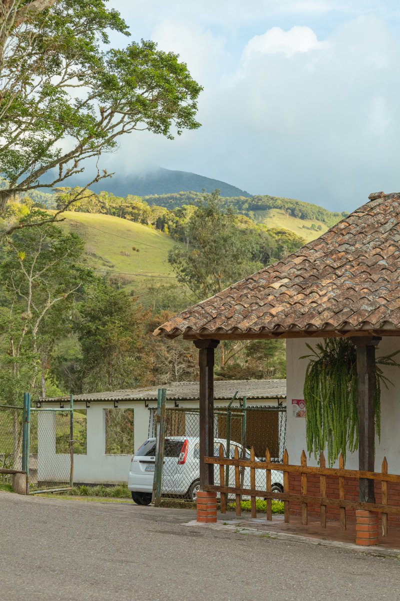 RenyTraceur's tweet photo. Paisajes en la via al paramo tachirense.

#tachira #venezuela #paramo #photography #fotografia #tocoron https://t.co/gsJ6Nu0WqY