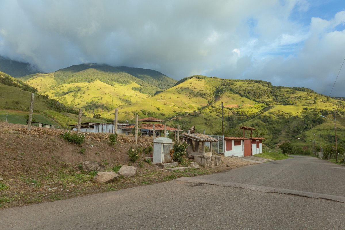 RenyTraceur's tweet photo. Paisajes en la via al paramo tachirense.

#tachira #venezuela #paramo #photography #fotografia #tocoron https://t.co/gsJ6Nu0WqY