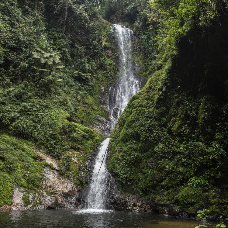 NPSInternation's tweet photo. Congrats to #NyungweNationalPark in Rwanda on its inscription as a @unesco553 Site!  @NPSInternation has worked with NGO colleagues to assist the park in the past on visitor management.
https://t.co/wZlNEdcDt3 https://t.co/oI9mknc0YM