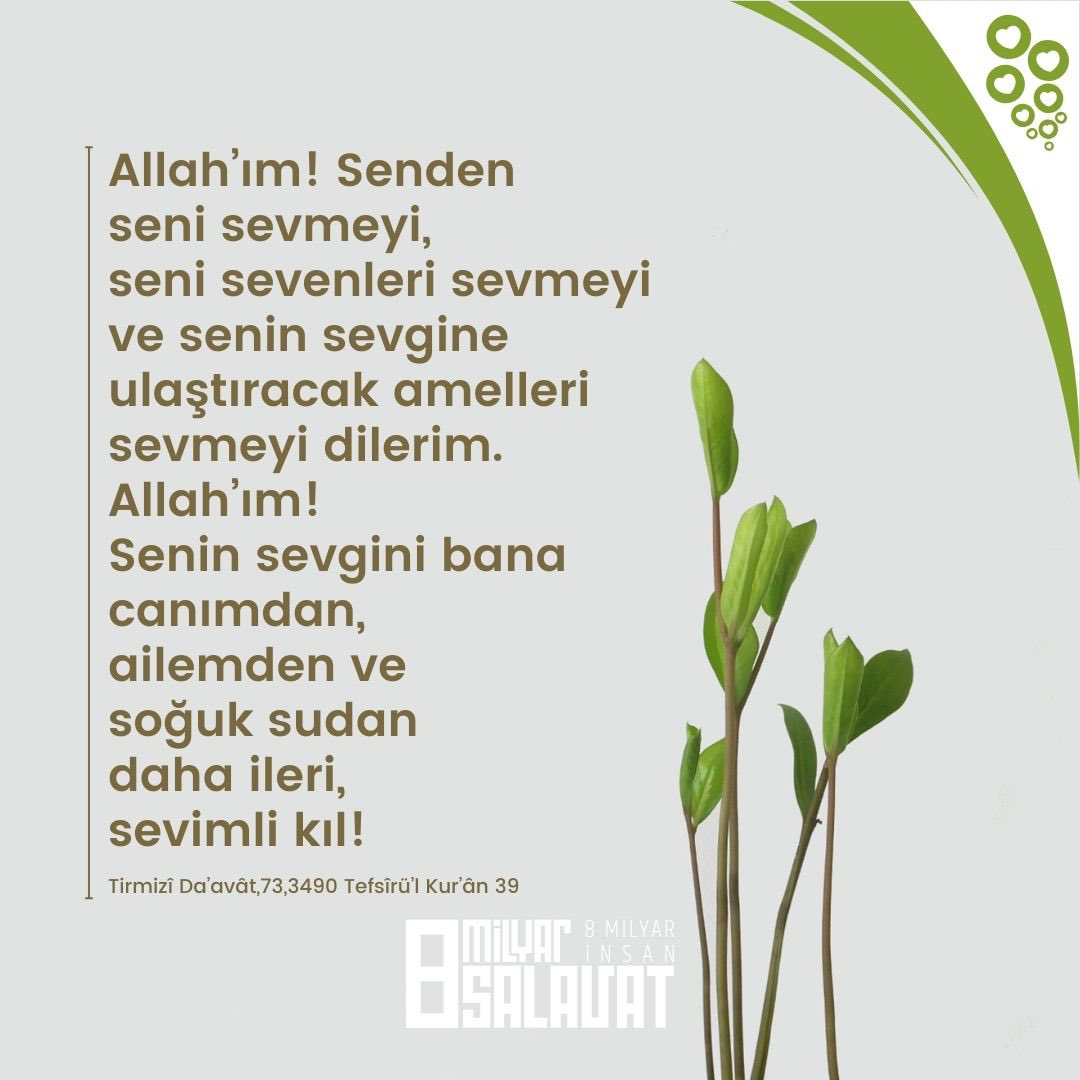 8MilyarSalavat's tweet photo. Allah’ım! Senden seni sevmeyi, seni sevenleri sevmeyi ve senin sevgine ulaştıracak amelleri sevmeyi dilerim. Allah’ım! Senin sevgini bana canımdan, ailemden ve soğuk sudan daha ileri, sevimli kıl!
Tirmizî Da’avât,73,3490 Tefsîrü’l Kur’ân 39
.
.
#8milyarsalavat #8milyarinsan https://t.co/BWXT2fDRhy