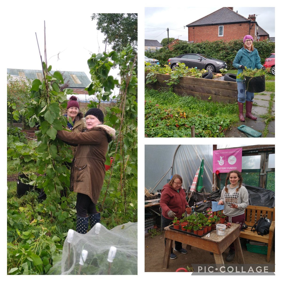 Dig In Community Allotment tweet media