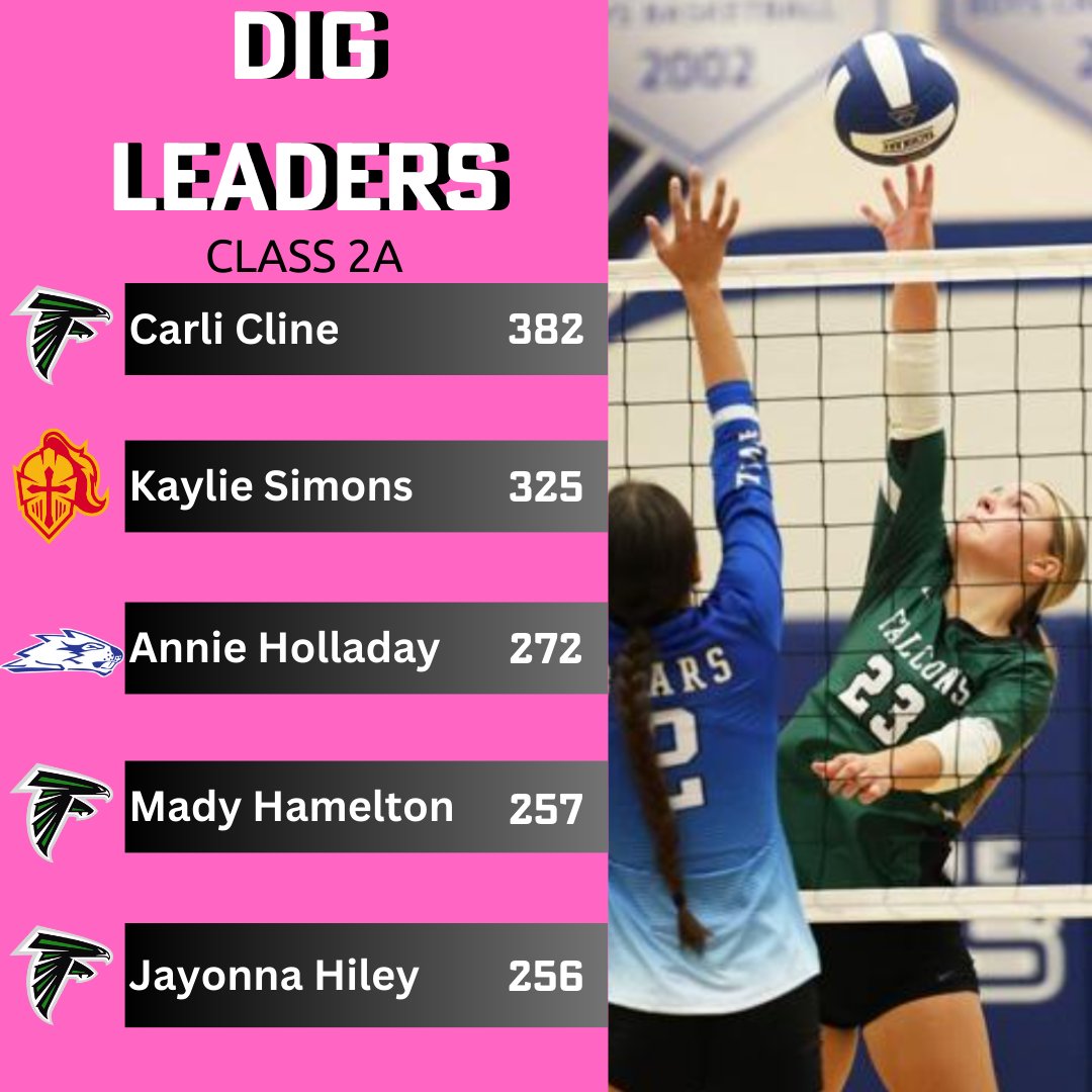 Bound_IA's tweet photo. Dig, dig, dig! 
Here are the individual dig leaders across Classes 1A-4A! https://t.co/GJIjy1S53A