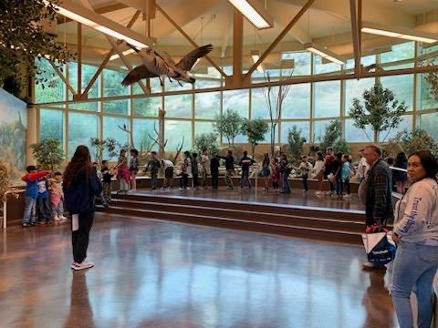 FUSD_Maple's tweet photo. Second grade field trip fun to the Mary Vagle Nature Center. Thank you to our teachers and parents for chaperoning. https://t.co/BZAyorxX5g
