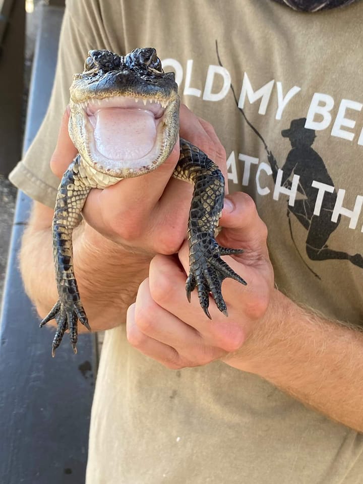 please share to bless the timelines of others who don't know they need this.