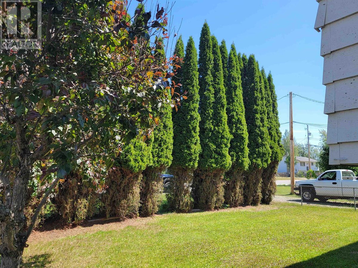 Is  privacy your thing? Move to a quiet, dead-end street with super-tall  cedar trees lining the front lawn and a massive green space past your back yard. Buy my BC Home in #Quesnel and enjoy the  gorgeous autumn colors waiting for you.
#BCrea #realestate 
realtor.ca/real-estate/25…