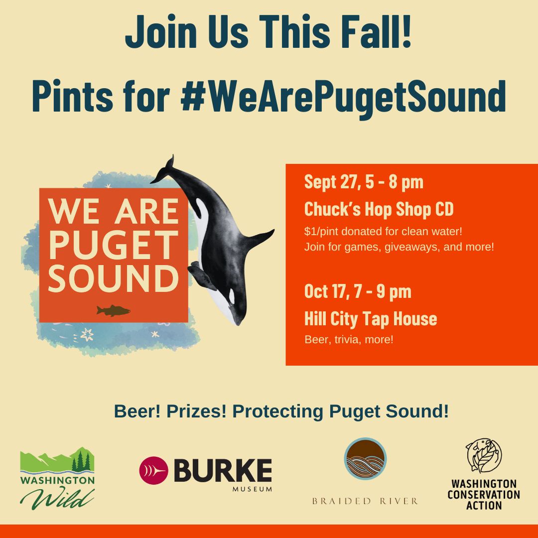 Mark your calendars for two exciting events coming this fall!

We invite you for two evenings of Salish Sea trivia, conservation advocacy, and beer happening on Sept 27 and Oct 17. See you there!

#braidedriver, #keepwashingtonwild #iampugetsound, #theburkemuseum