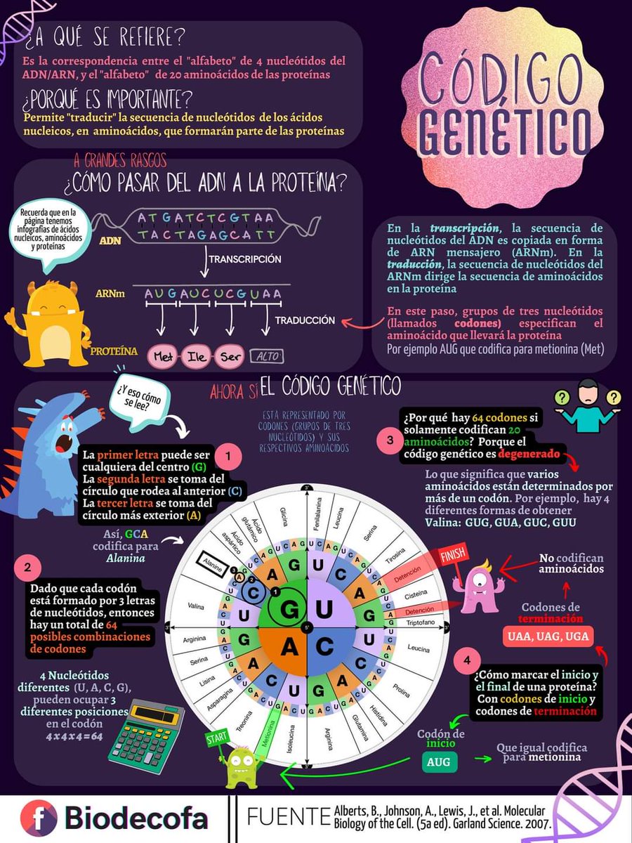Código genético 🧬

Fuente: Biodecofa
