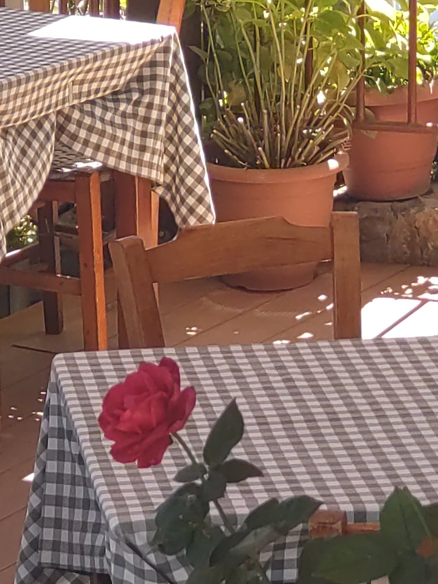 cheerssu's tweet photo. #RoseWednesday #Roses2023 #September2023
@StormHour @ThePhotoHour https://t.co/MoaPRj5Zc5