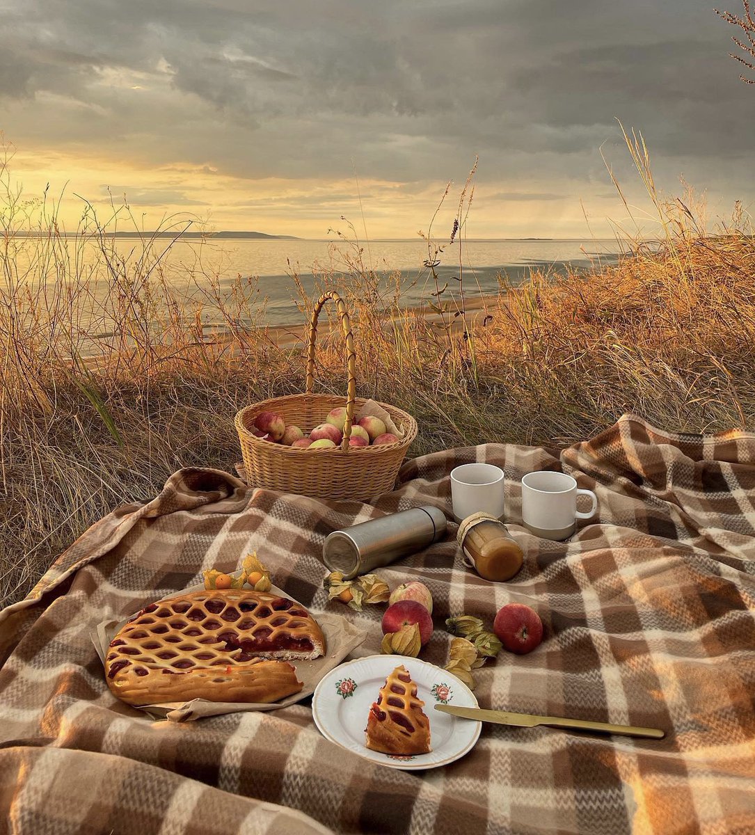 Early leaves drifting from the trees 🍁