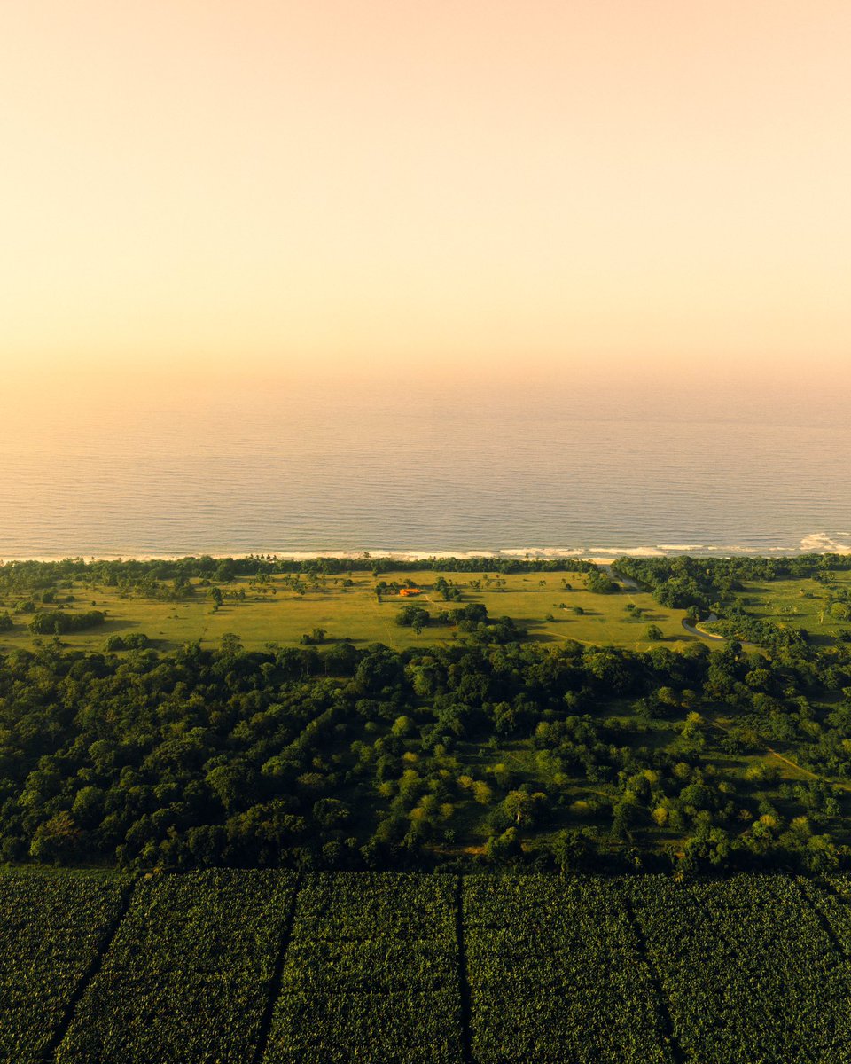 TheZanier's tweet photo. Dare to Dream.

View from above🦩 Pt. 2

@DJIGlobal #drone #photography https://t.co/KC1bZarl5E