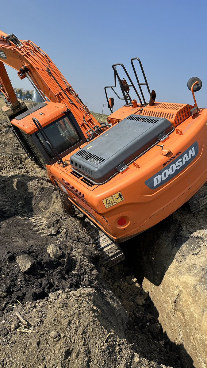 Matthew Krueger tweet media