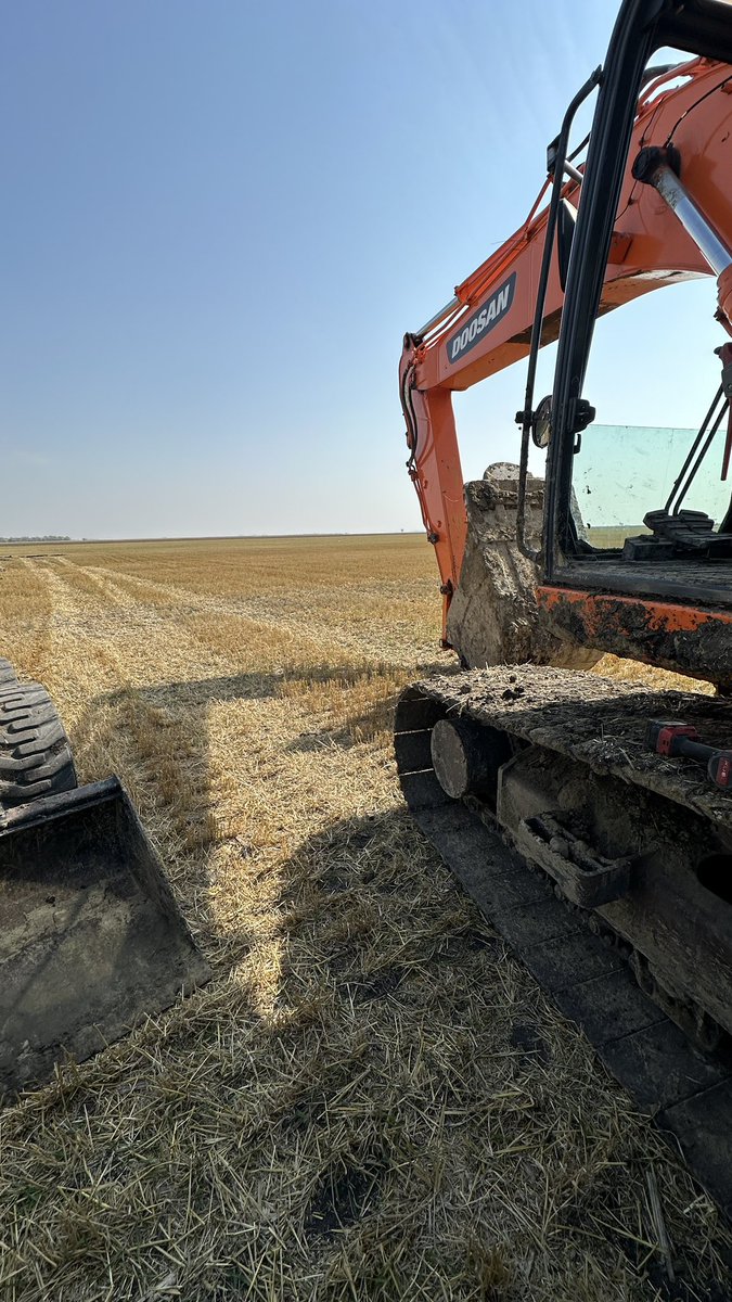 Matthew Krueger tweet media