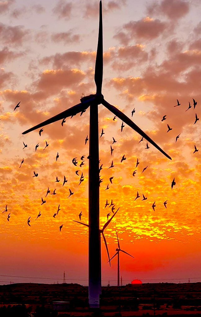 saimaazardari's tweet photo. #TharCoal, Nooriabad power plant & Jhampir #WindCorridor in Sindh generate around 3000+ MW of electricity. Notably, #Peoples #SindhGovt stands as the sole provincial body participating in the power sector's progress, and credit has been attributed to @BBhuttoZardari for his role. https://t.co/qEJrryecEG