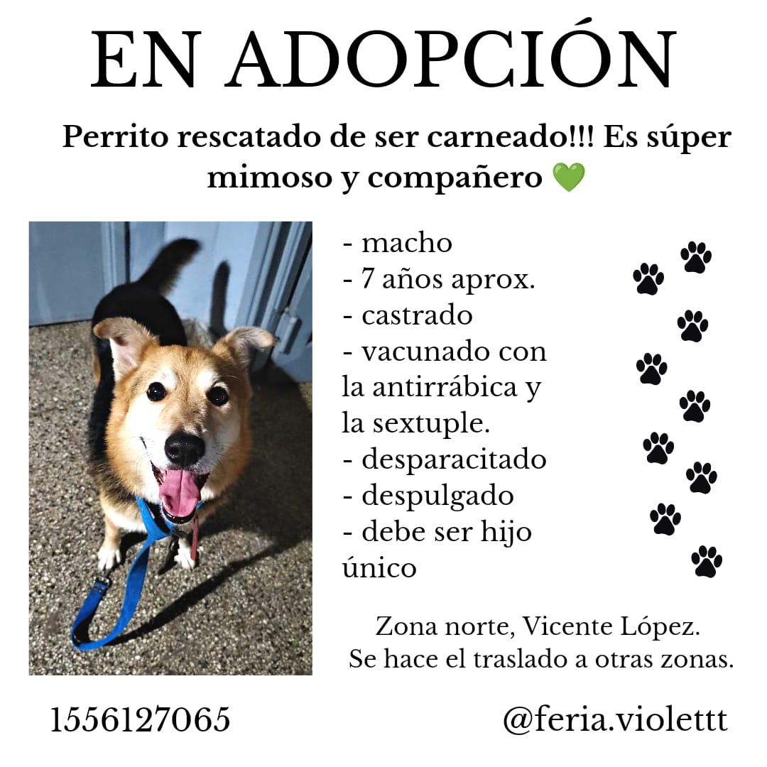 patripeyrou's tweet photo. Difundimos https://t.co/gk4w0f2WsK