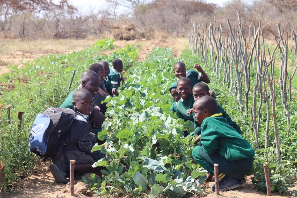 PatriceTalla's tweet photo. Appreciated the collaborative effort! Visited Lufuse Primary School in Insiza district with @UNICEFZIMBABWE, &amp; @MLFAWRD to witness the impact of the @euinzim funded #ERVHIZ project. It's empowering communities with clean, renewable for WASH, nutrition, &amp; agriculture initiatives. https://t.co/lFVi6Z2vVf