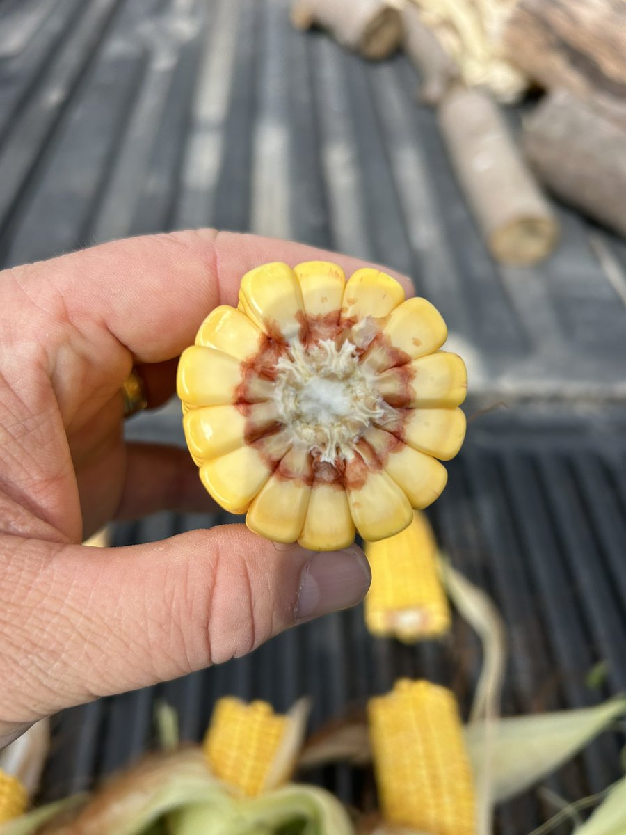 Jason Sutherland tweet media