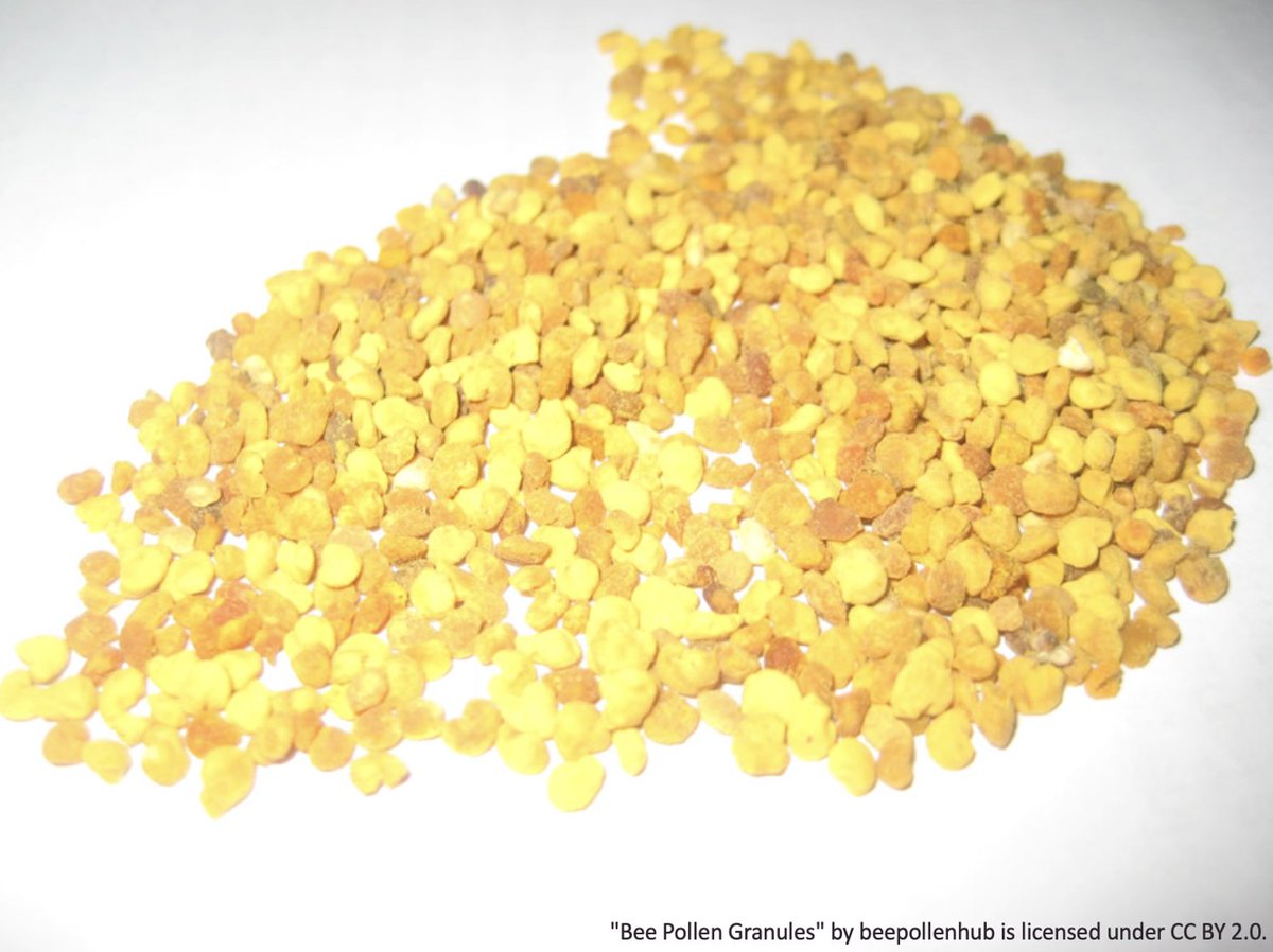 learnimperative's tweet image. It was good to back working with keen and enthusiastic staff at @NorthwayPrimary this afternoon. 'Plus one' discussions about how we can be inclusive in our teaching by going granular on our habits and routines. @HTscribblings #AllLearners #AllValued #AllAchieving