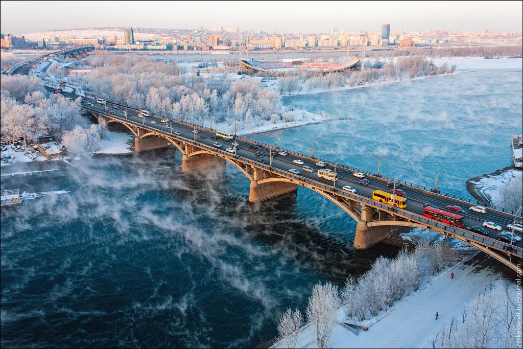 bad siberian tweet media