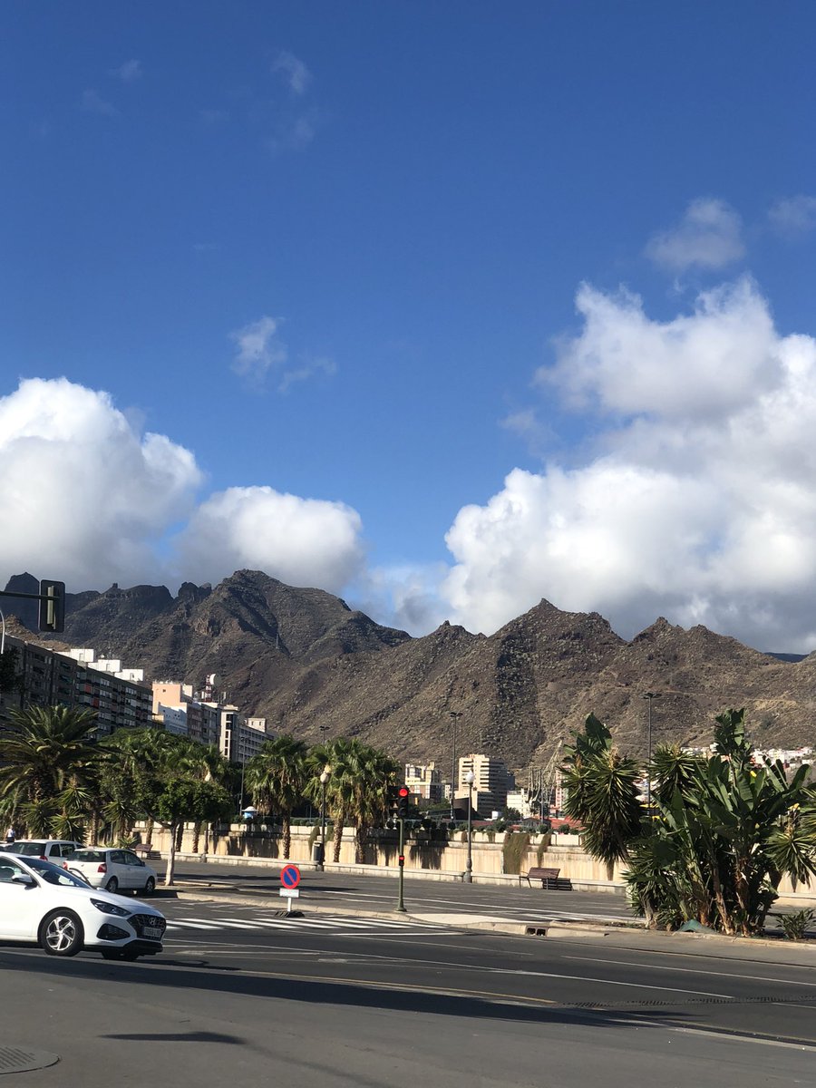 Phoebe Rivory tweet media