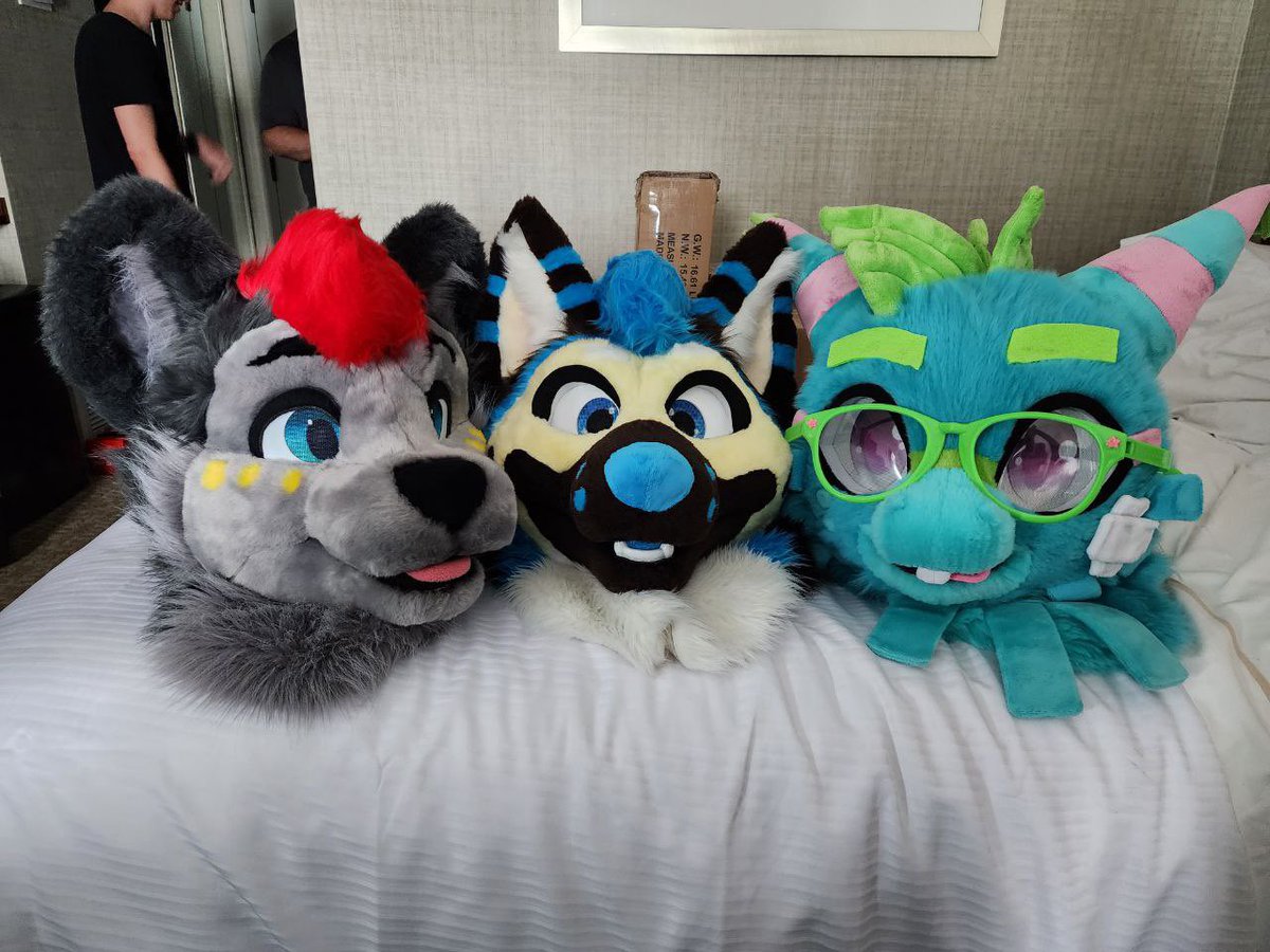 ShepGoesBlep's tweet photo. We look like Pokémon 😭 https://t.co/qEFZN8egVF