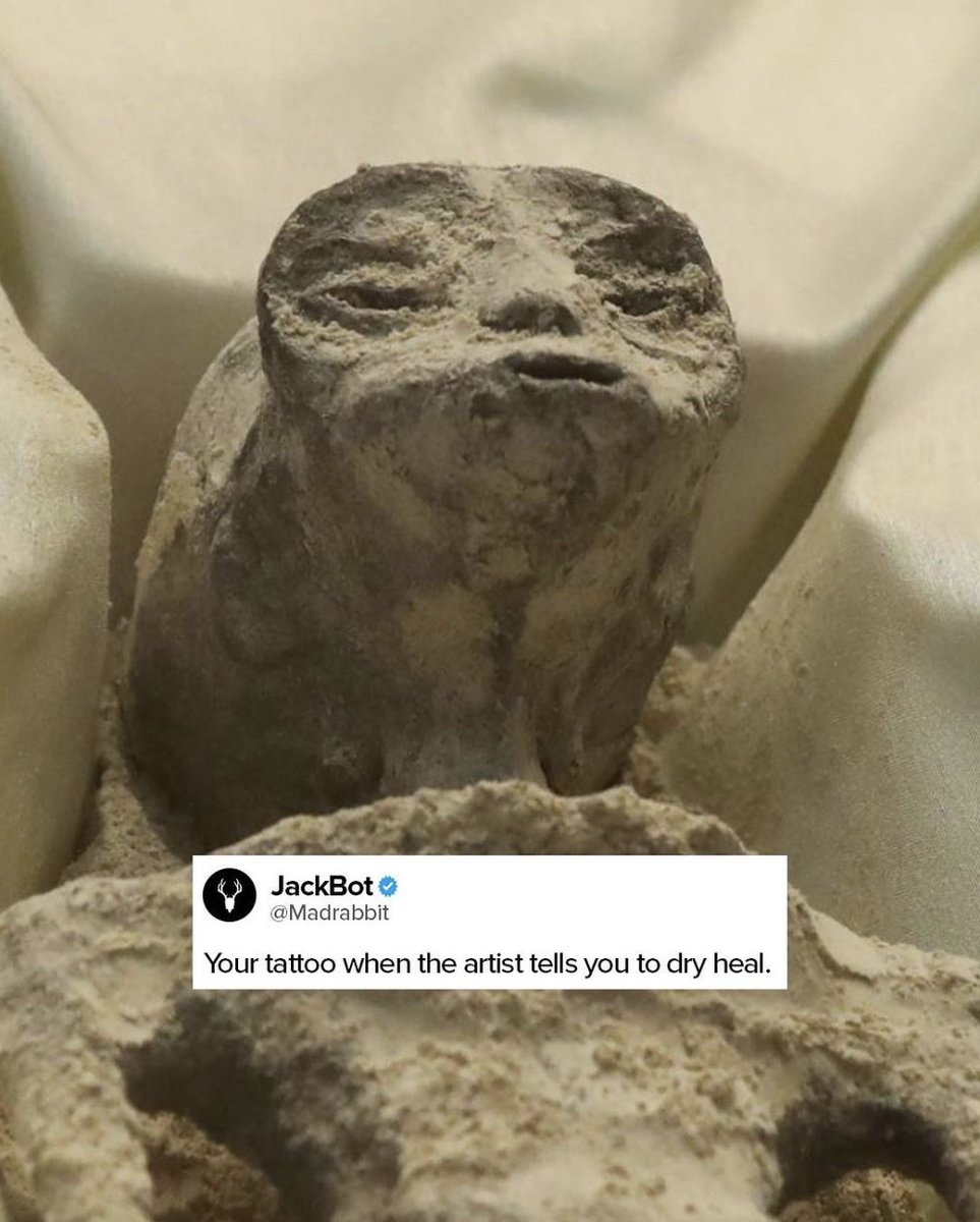 MadRabbitTattoo's tweet photo. Scientist say 1,000 year old alien could have aged better if they used Mad Rabbit 👽😂 https://t.co/Vpto06BuMz