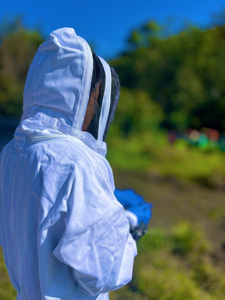 anson_ag's tweet photo. Busy as a bee 🐝 today. In the field with @uvmvermont @SVGarimella @roybeckford2010 @UVMExtension @LeslieParise. We pulled hives owned by West Meadow Apiary in Randolph. This commercial apiary has hives around #Vt. The family business produces honey 🍯 &amp; the bees pollinate crops. https://t.co/NJYsUALL2P