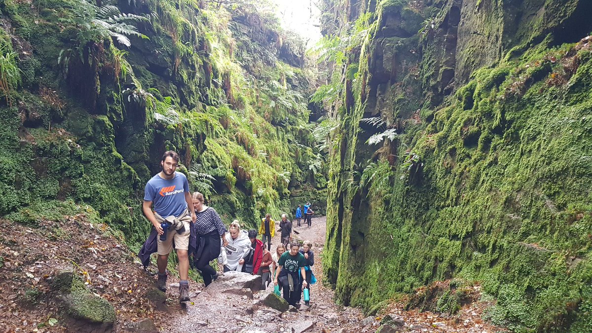 Alistair Boxall tweet media