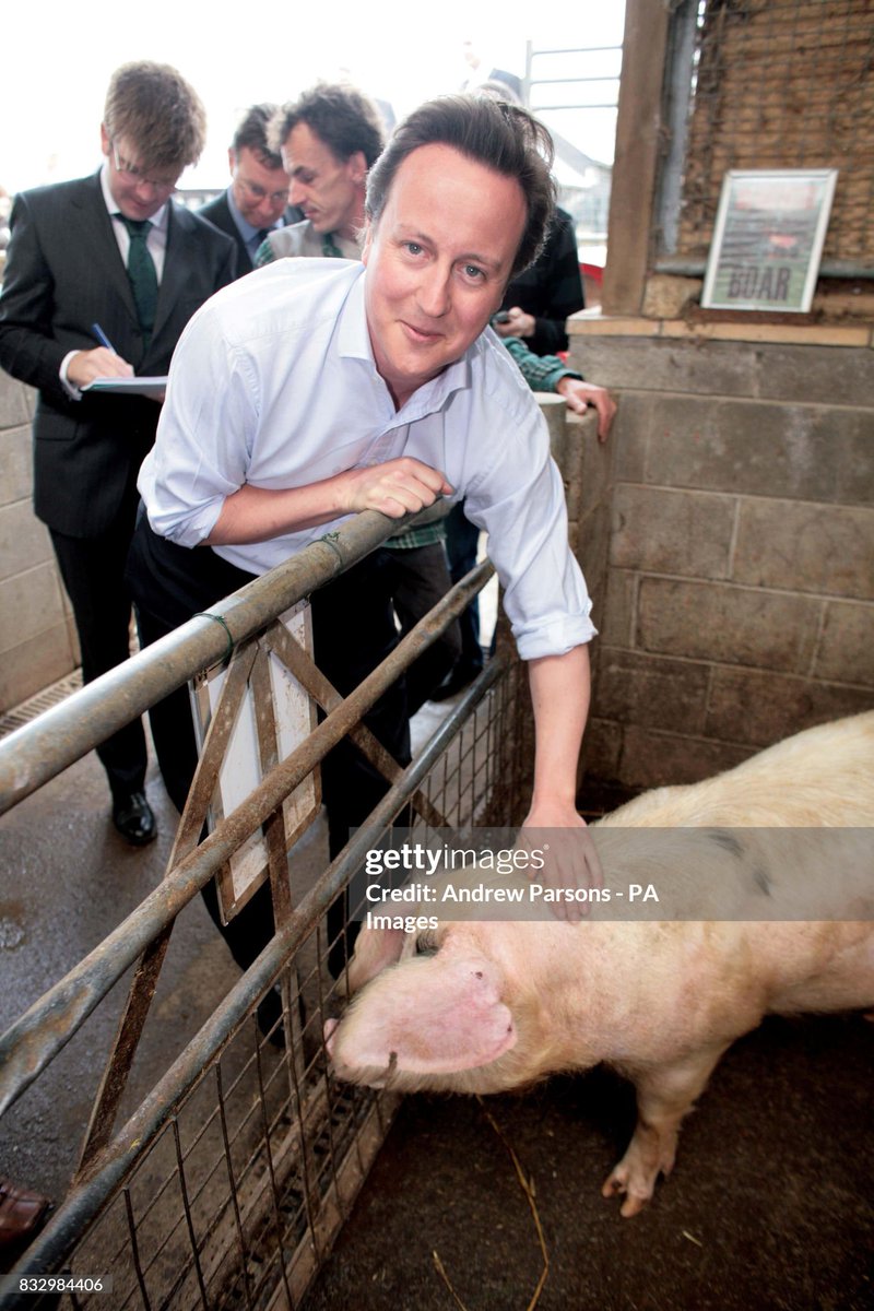 shitbritishpics's tweet photo. Conservative Party leader David Cameron is photographed stroking a pig (2007) https://t.co/MzNgoIsHUB