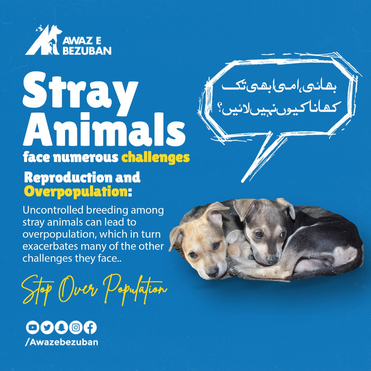 🐾 Reproduction and overpopulation among stray animals is a critical issue. Uncontrolled breeding exacerbates their challenges. Let's promote responsible pet ownership and support initiatives to control their population. Together, we can make a difference! ❤️🐕🐈