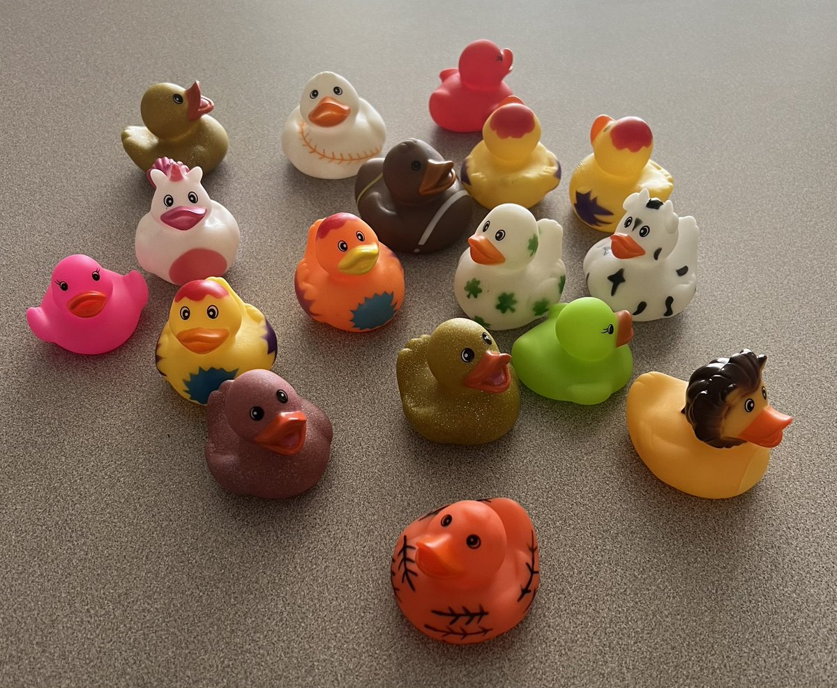 taknightsfan's tweet image. Guess what day it is in AP CSP! #RubberDuckDebugging