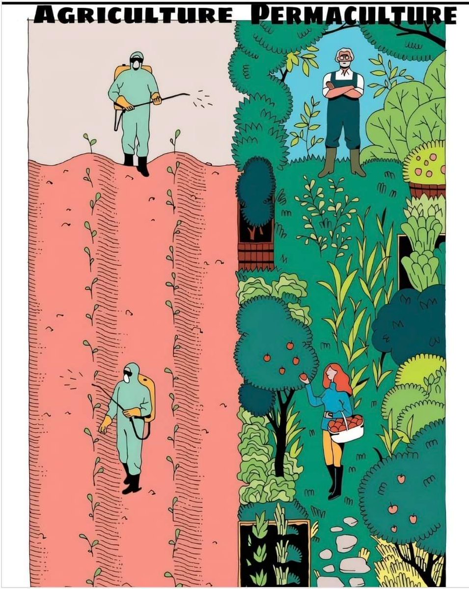 PiksteinLab_GCU's tweet image. #sustainableFuture #OnePlanet #Conservation #ecology #sustainability