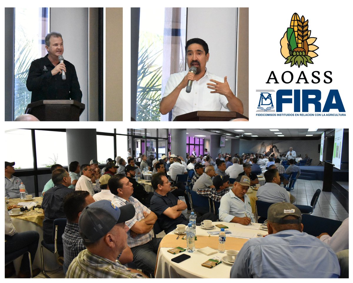 Con una asistencia destacada, se llevaron a cabo las Conferencias de Fertilización Óptima, Mercado y Manejo de Riesgo. 
Álvaro Bours, presidente de AOASS, dio la bienvenida a los asistentes, mientras que el Biol. Sergio Rojas, de FIRA, brindó el mensaje de apertura.
<a href="/FIRA_Mexico/">FIRA</a>