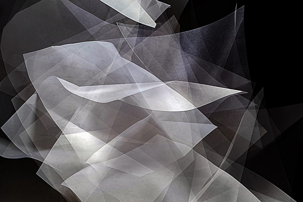 GillesMark37's tweet photo. The magic of fabric movements in black and white. 
#blackfeathertouch #bnw#noiretblanc
#blackandwhite#blackandwhitephotography #bnwmood#luxuryinteriordesign #interiordesign https://t.co/HtVCEelLkb
