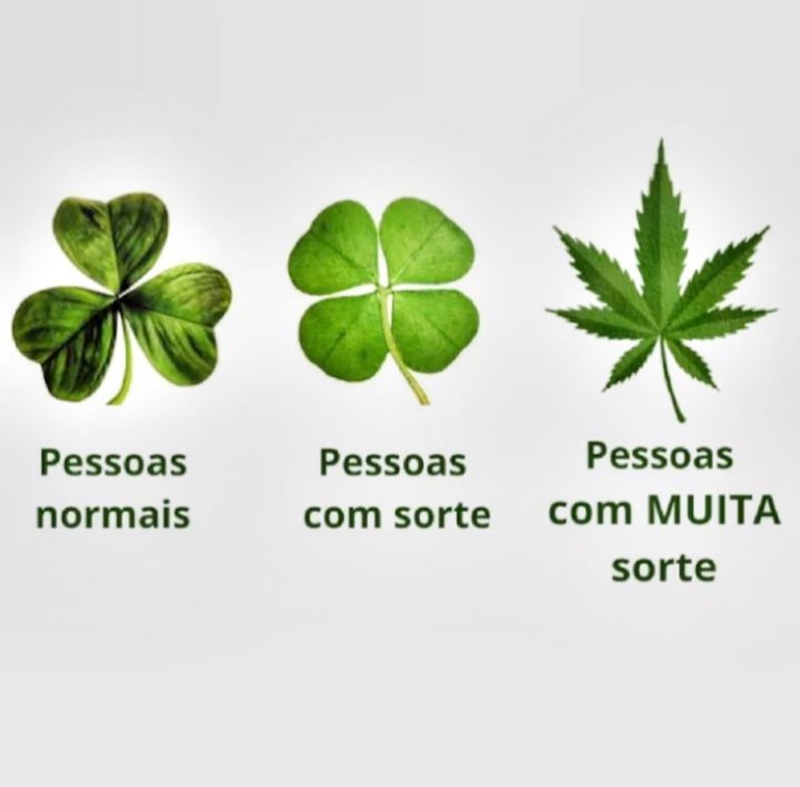 Diario4e20 (@diario4e20) on Twitter photo 