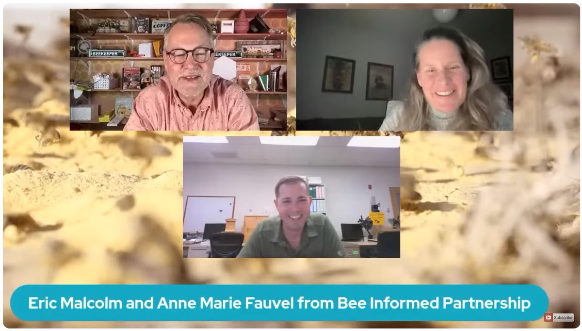 Missed the live event hosted by YouTuber David Burns last week? No problem, you can still watch the recording! BIP’s very own Anne Marie Fauvel and Eric Malcolm joined David to discuss what BIP is all about!  youtube.com/watch?v=8nCvJN…