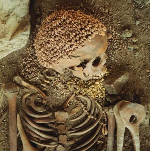 A 24,000 year old Upper Palaeolithic burial with a skull cap made from hundreds of snail shells ( Arene Candide, Italy )