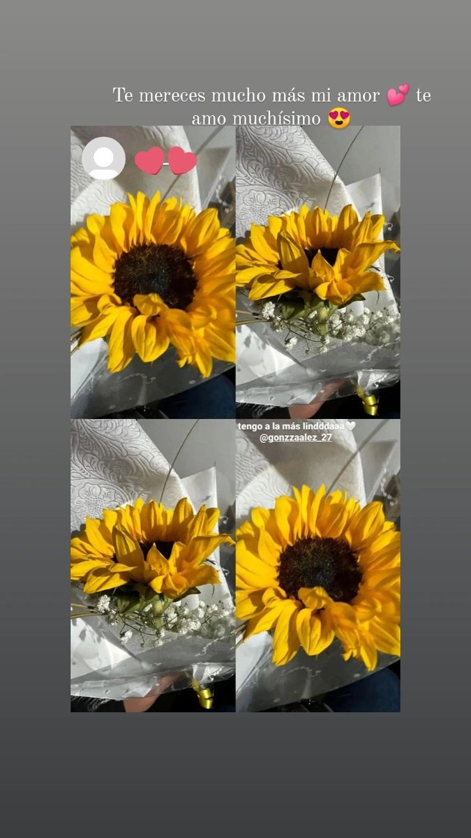 DaniGon090's tweet photo. Mi novia se ganó sus flores amarillas por adelantado 😍 https://t.co/ruf5F4c05t