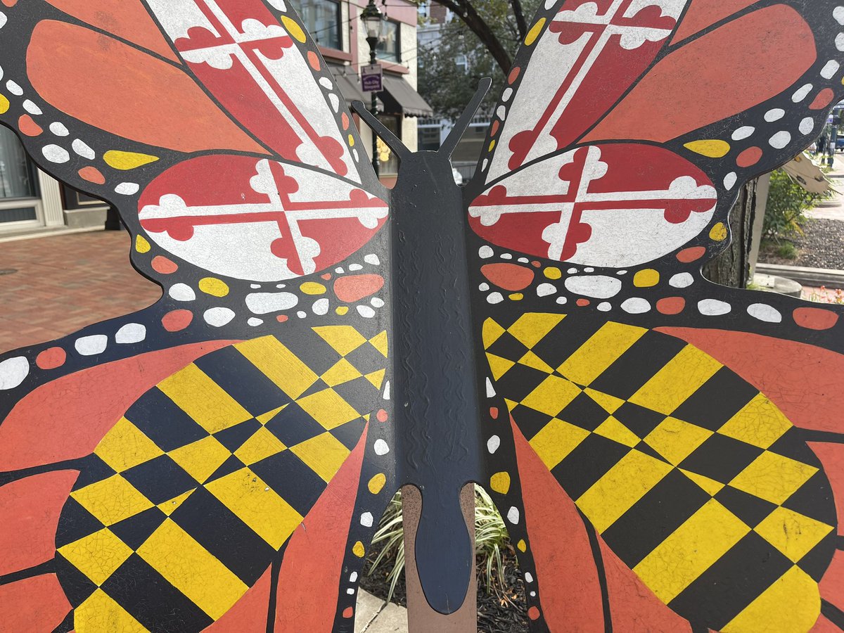 goflyingboxcars's tweet photo. 🚨Scavenger Hunt🚨

We dropped some pins at local downtown locations! Tag us if you find one! 

*all pins are outside* #preparefortakeoff https://t.co/PRWGA2mmLw