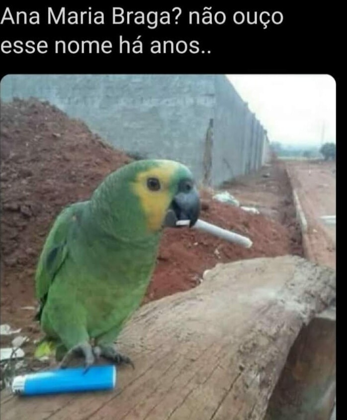 Shitpost só que de verdade (@shitpostverdade) on Twitter photo 