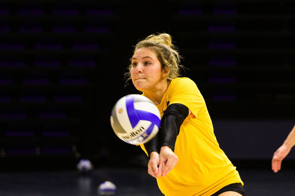 lsuvolleyball's tweet image. Dig In Wednesday 🍽️ 

#NowWeProwl | #GeauxTigers