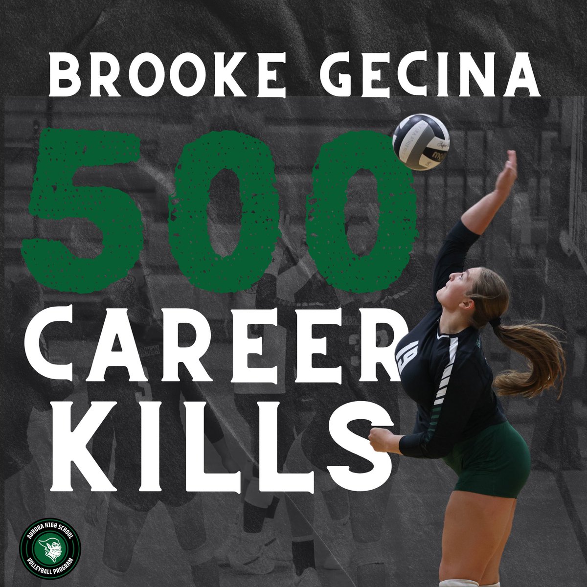 ‼️CAREER MILESTONE ALERT ‼️

Congratulations to Emerson Spiesz for earning her 500th dig last night against Highland High School and to Brooke Gecina for earning her 500th kill against Tallmadge High School. We’re so incredibly proud!

#CompetitiveGreatness