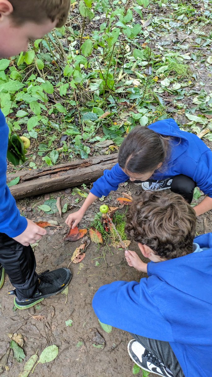SwissValleyCP's tweet photo. This afternoon Bl5/6 inspected the #dens built by other classes this week and #cooperated as #teams to adjust/tighten #tarps & #paracord using #knots and various tying techniques. @_OLW_ @SOuLupdate @theoeap @ysgoliachsirgar @EcoSchoolsWales @NatResWales @WG_Education https://t.co/GkovXeUSDV