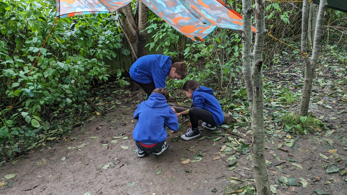 SwissValleyCP's tweet photo. This afternoon Bl5/6 inspected the #dens built by other classes this week and #cooperated as #teams to adjust/tighten #tarps & #paracord using #knots and various tying techniques. @_OLW_ @SOuLupdate @theoeap @ysgoliachsirgar @EcoSchoolsWales @NatResWales @WG_Education https://t.co/GkovXeUSDV