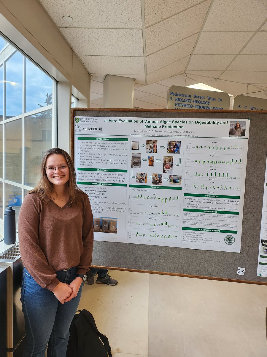 Great research posters <a href="/morgan_lehmann/">Morgan Lehmann</a> <a href="/KylieGrimes6/">Kylie Grimes</a> #AnimalScience <a href="/RibeiroLabUsask/">Gabriel Ribeiro</a> <a href="/agbiousask/">USask AgBio</a>