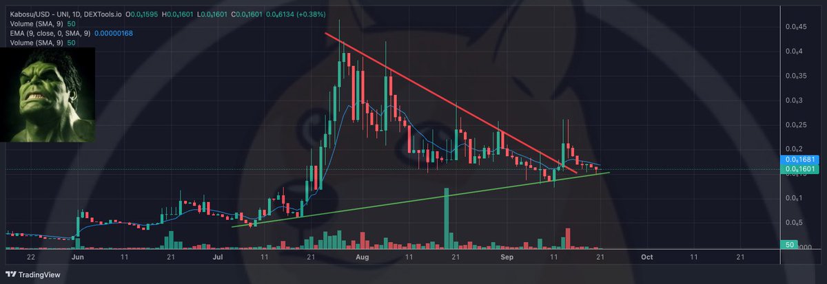 PUMPAMΞNTALS tweet media