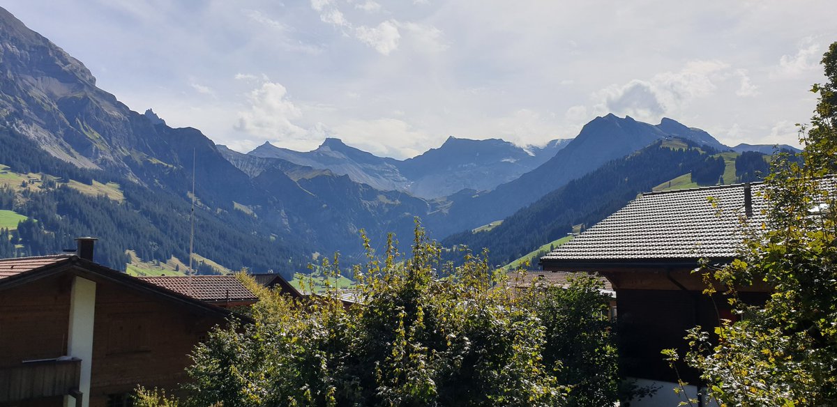 Lab retreat day 1: we already spotted the alpine salamanders with @grumpyDrFabre @Morgane_Fo @i_tsst  @Aduham01 @lelouppe Sandro Studer, Julien Clavel and Ronald Bonett. 🦎🥳