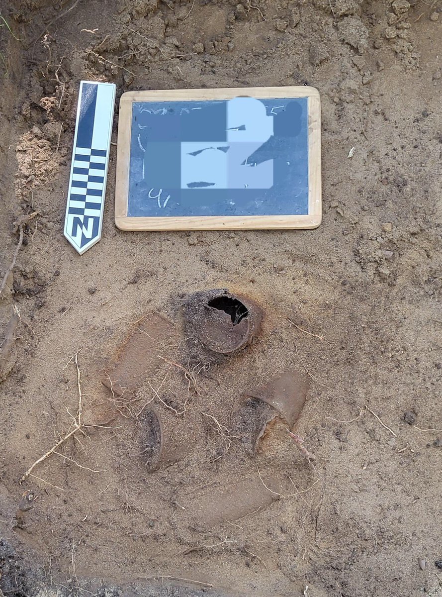 Chippewa National Forest tweet media