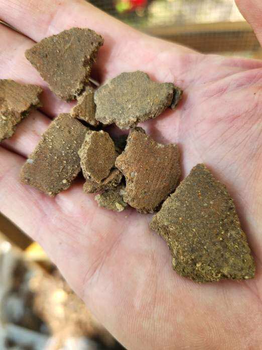 Chippewa National Forest tweet media